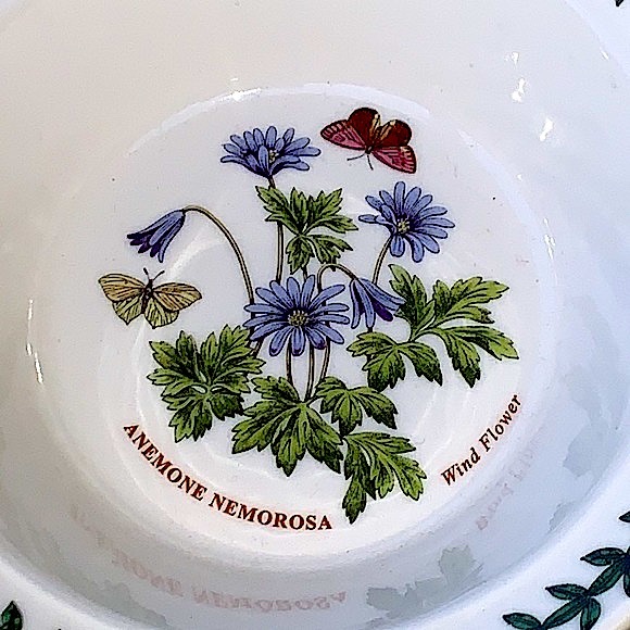 BOTANIC GARDEN BY PORTMEIRION WIND FLOWER OATMEAL CEREAL BOWL NEW ENGLAND - Picture 2 of 7